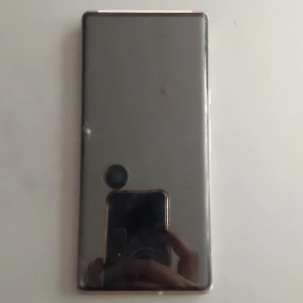 Google Pixel 6 Pro